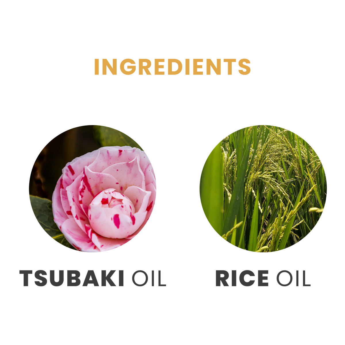 Shower Oil with Rice and Tsubaki – Tesori d'Oriente USA